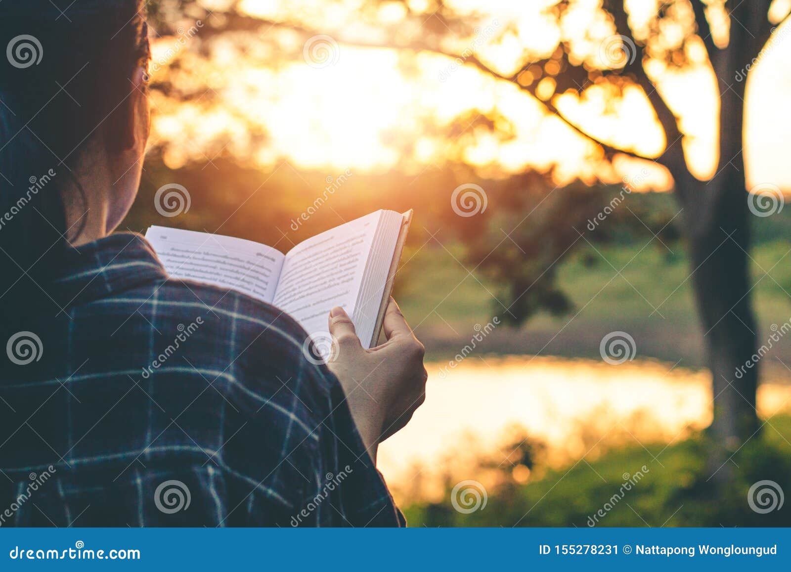 Women Read Books in Nature, Concept Read a Books Stock Image - Image of love,