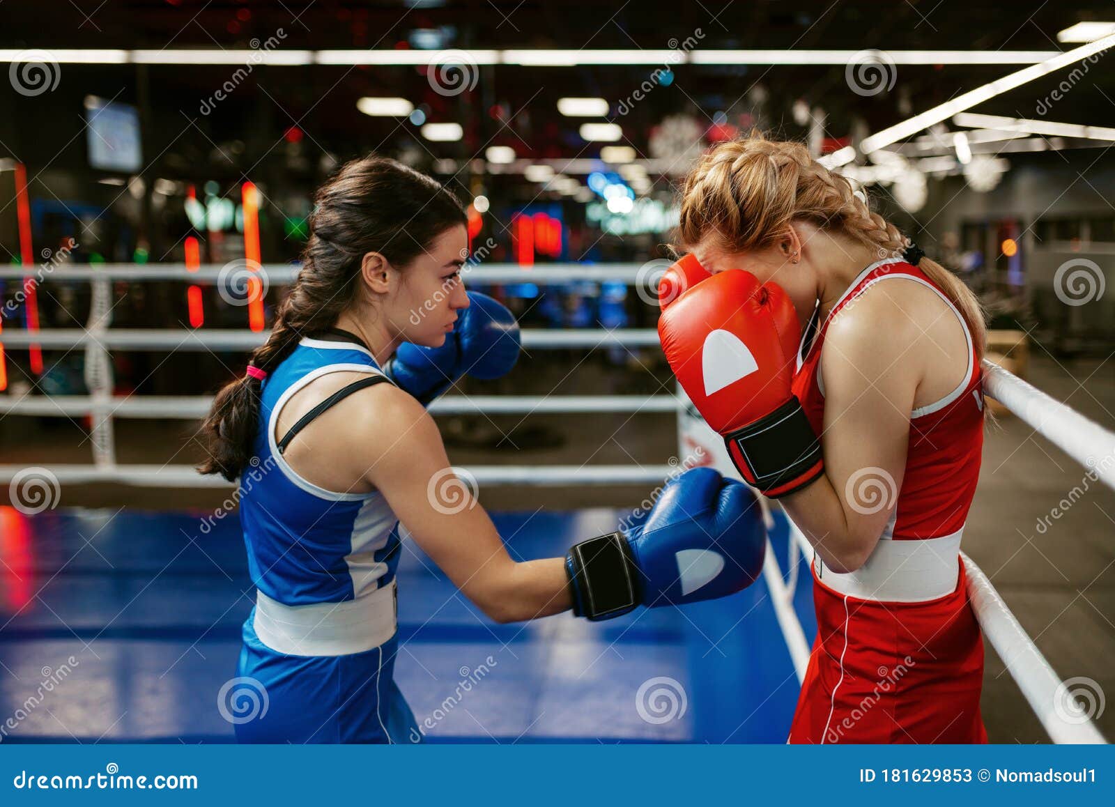 Women In Red And Blue Gloves Boxing On The Ring Stock Image Image Of Kickboxing Fight 181629853 