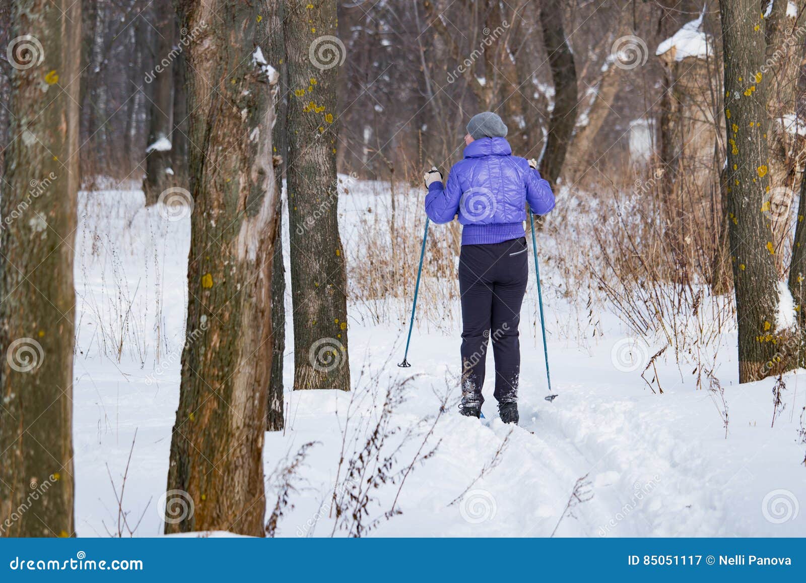 Women Riding on Skis the Snow in the Winter Stock Image - Image of ...