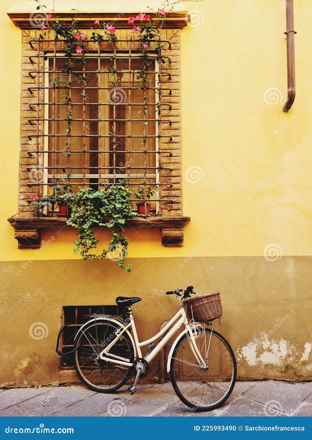 Women S Bicycle with Basket Leaning Under a Window with Flowers Stock