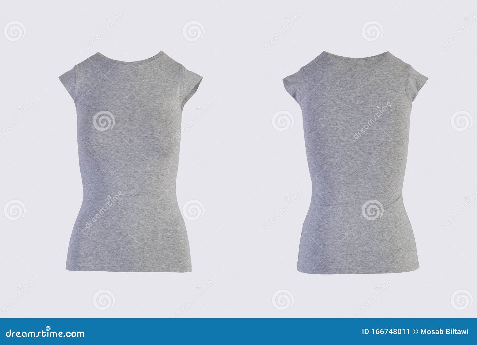 Download Women`s Blank Gray Short Sleeve T-shirt, Front And Back ...