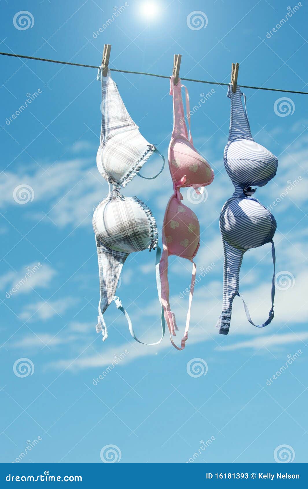 Women S Bras Drying in the Sun. Stock Image Image of cups, lady 16181393