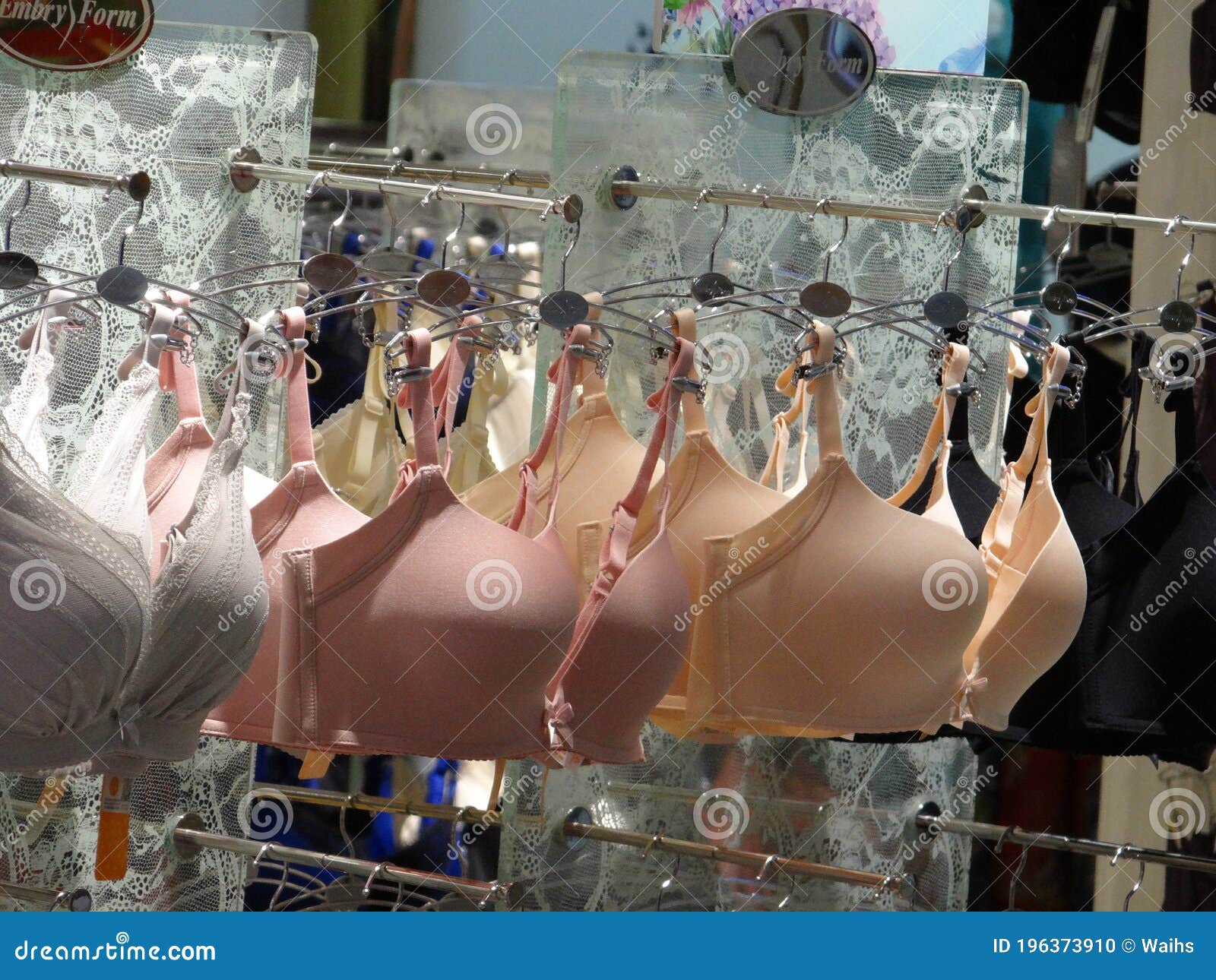 Close Up of a Female Bra. Women`s Bras are Hung in Women`s Underwear ...