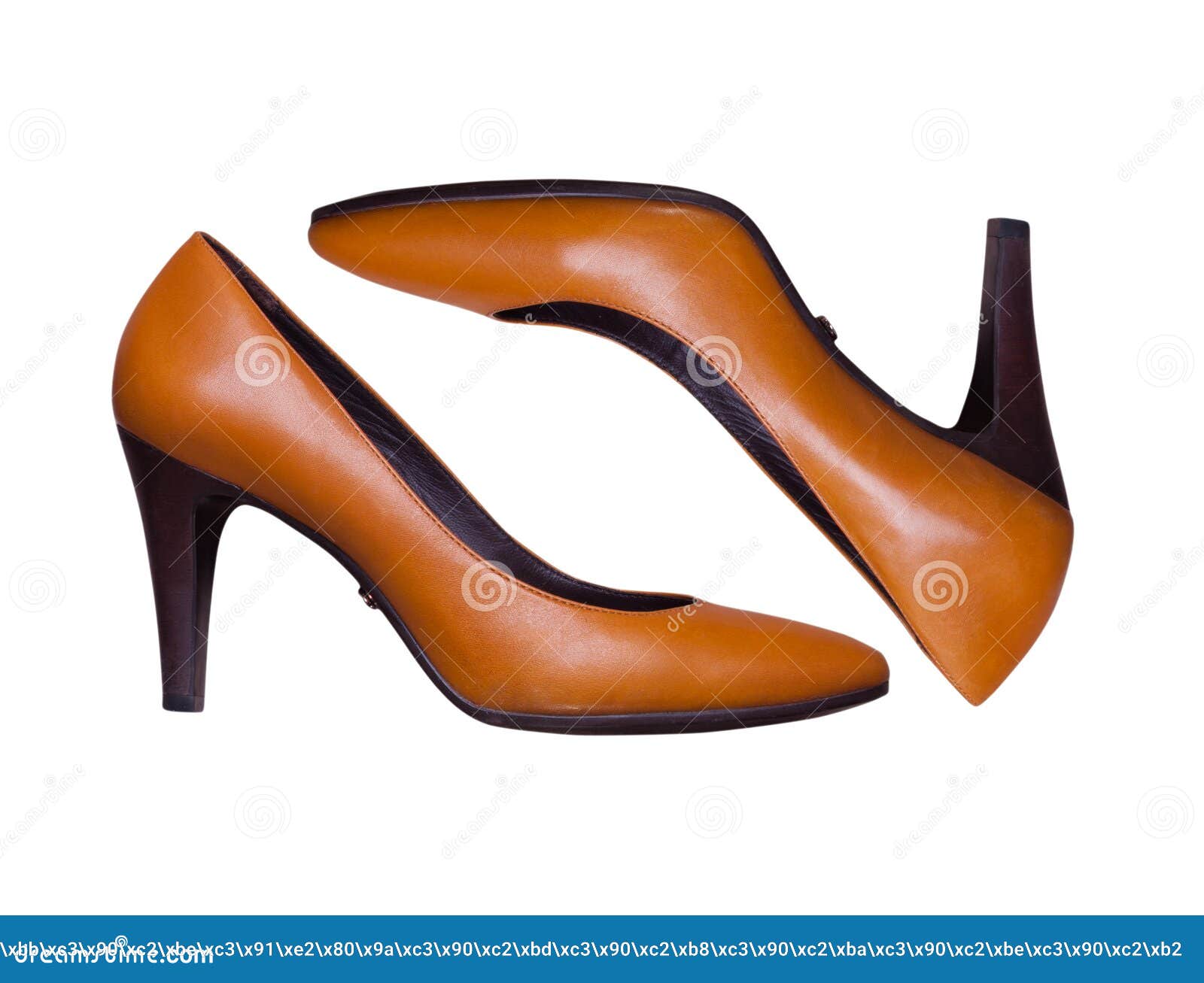 Women`s Brown Shoes on a White Background Stock Photo - Image of heels ...