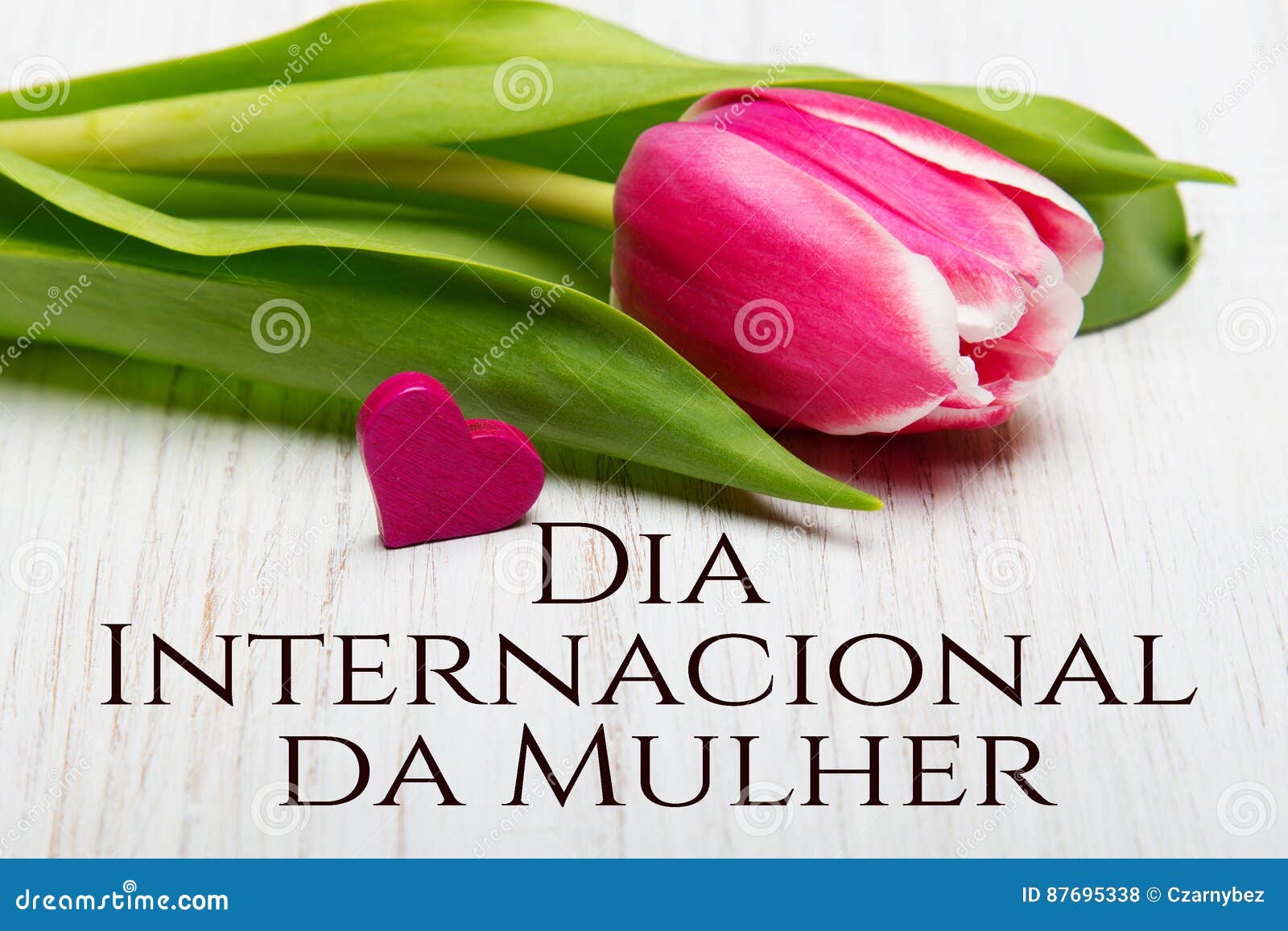 women`s day card with portuguese words `dÃÂ­a internacional da mulher`