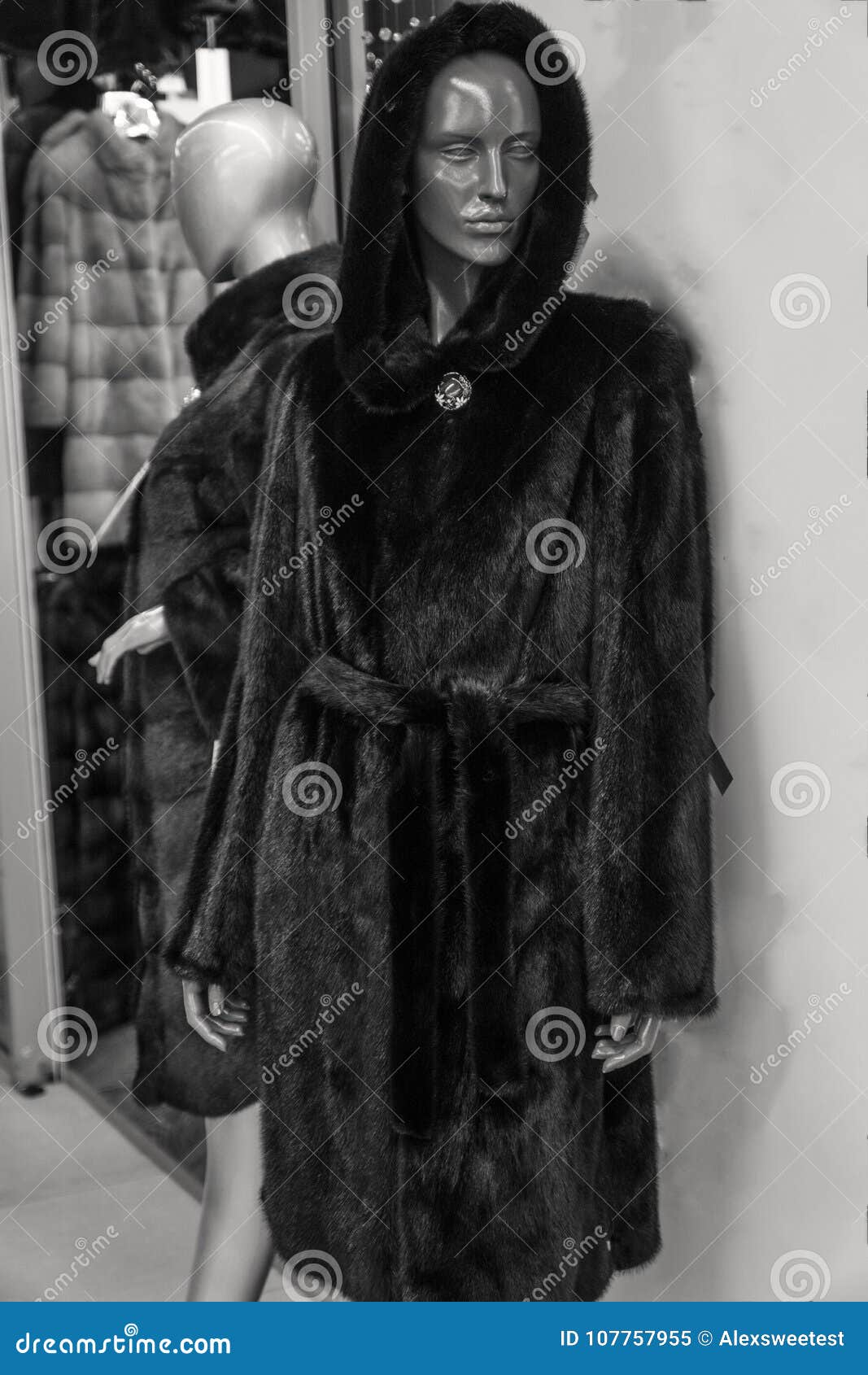 Women`s fur coats stock image. Image of women, girl 107757955