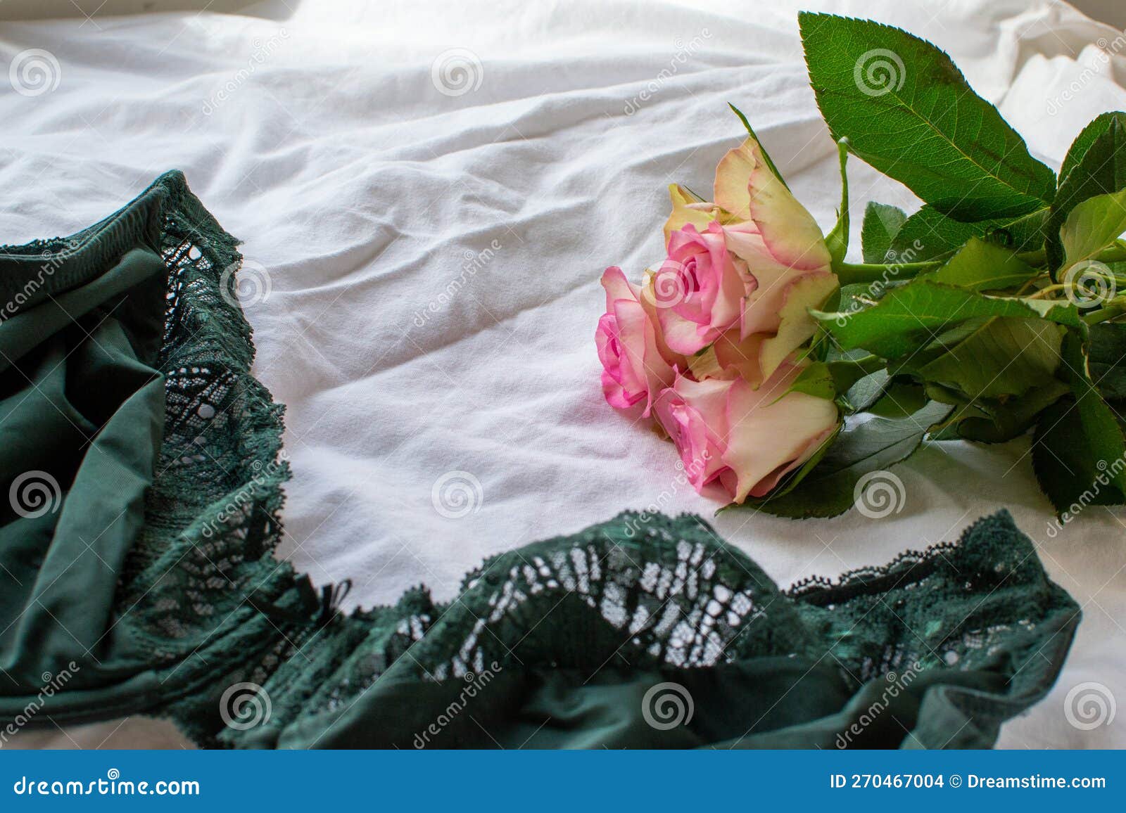 Women S Green Bra and Pink Roses on a White Sheet Stock Photo - Image ...