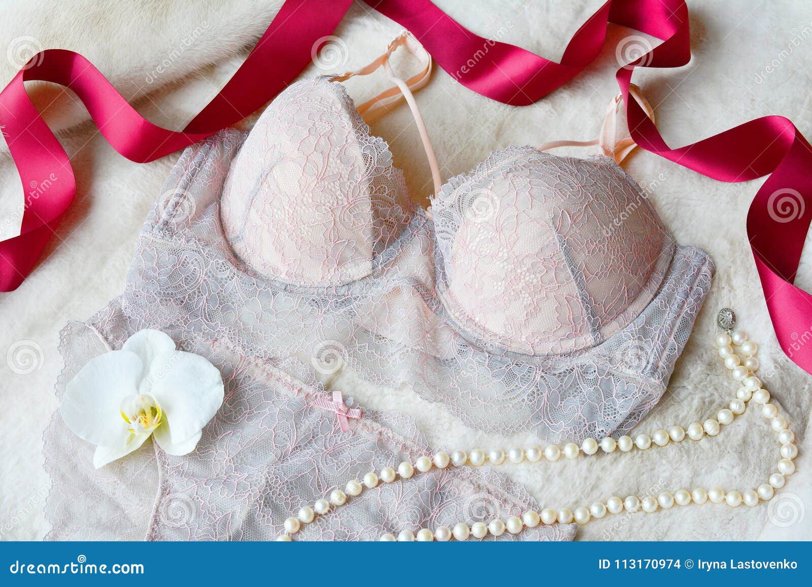 Women`s Lace Underwear Gentle Pink Color: Bra and Panties. Stock Photo -  Image of accessory, foundation: 113170974