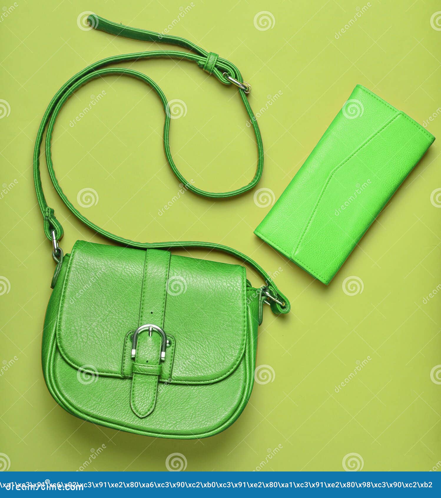 Women's Leather Red Bag And Purse On A Green Pastel Background Stock ...