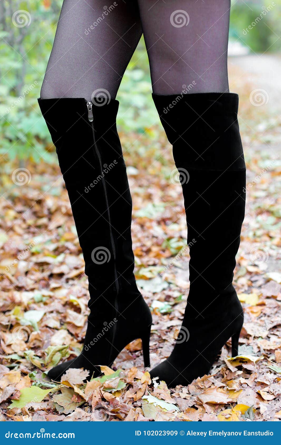 Women`s Legs in Boots on Leaves Stock Image - Image of leaves, adult ...