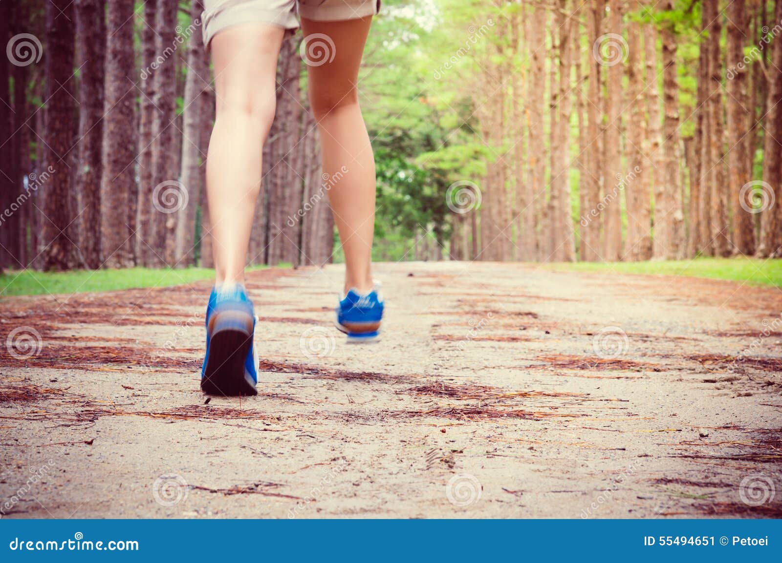 Women S Running through Pine Tree Forest Trail. Stock Image Image of