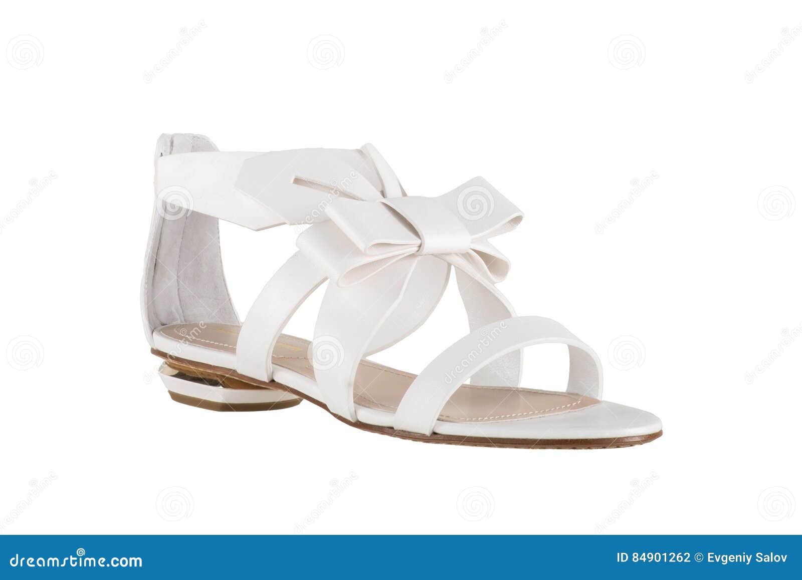 Women`s Shoes on a White Background. Premium Footwear Stock Photo ...
