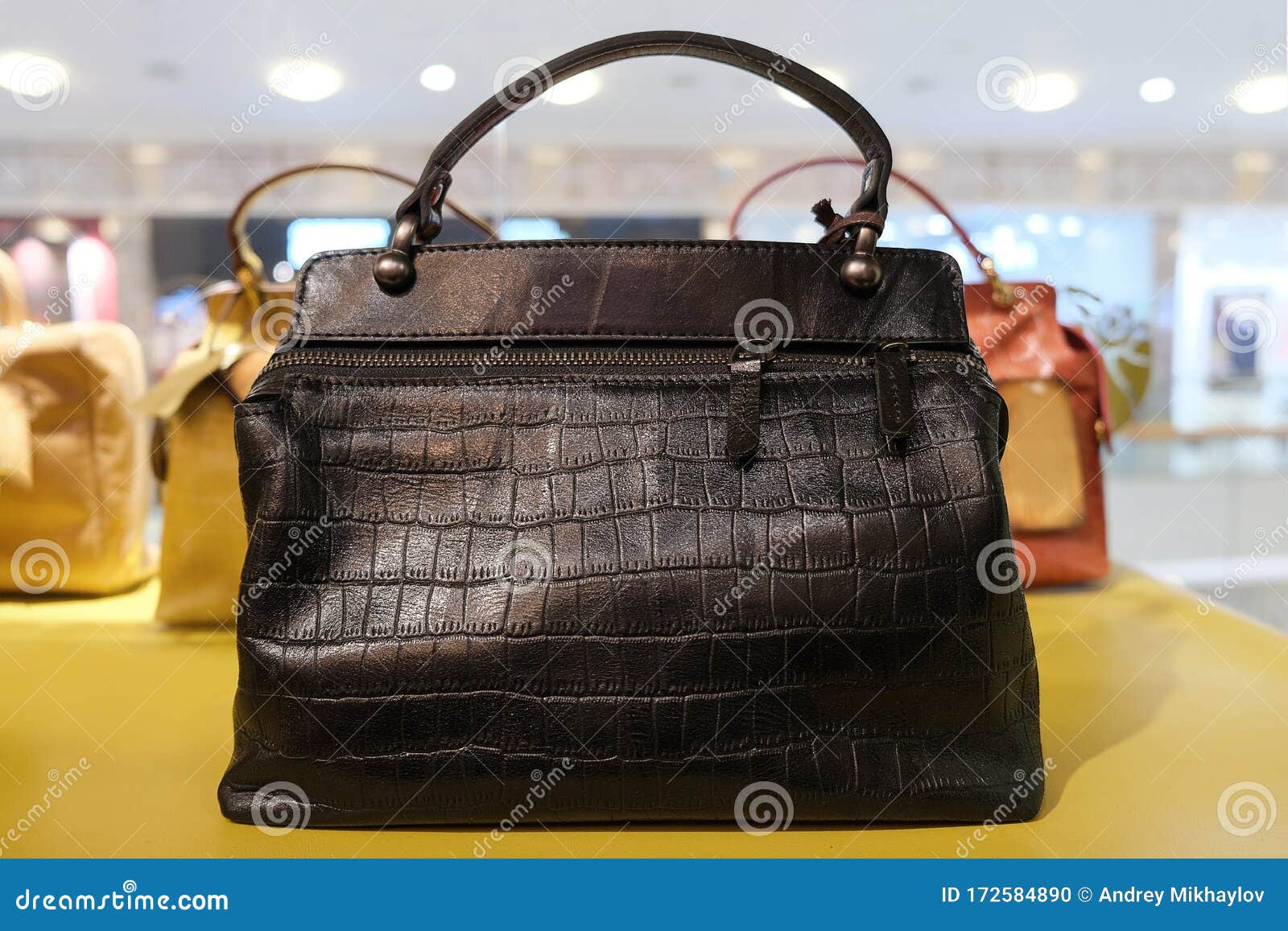 Women`s Shoulder Bag Made of Crocodile Skin Stock Photo - Image of ...