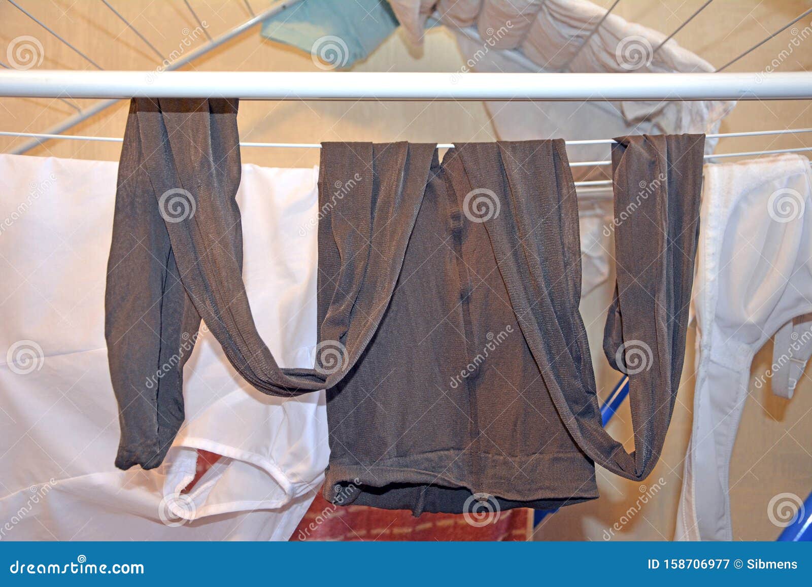 Women`s Used Nylon Pantyhose after Washing. Fetish. Stock Image