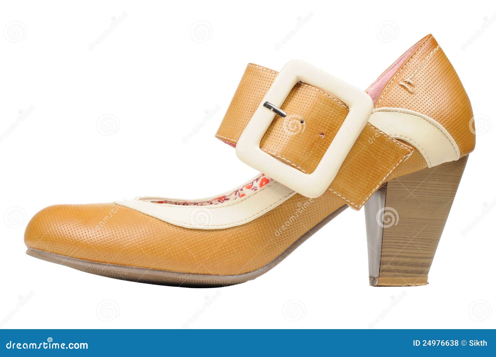 Women s Vintage Shoe stock photo. Image of garment, single 24976638