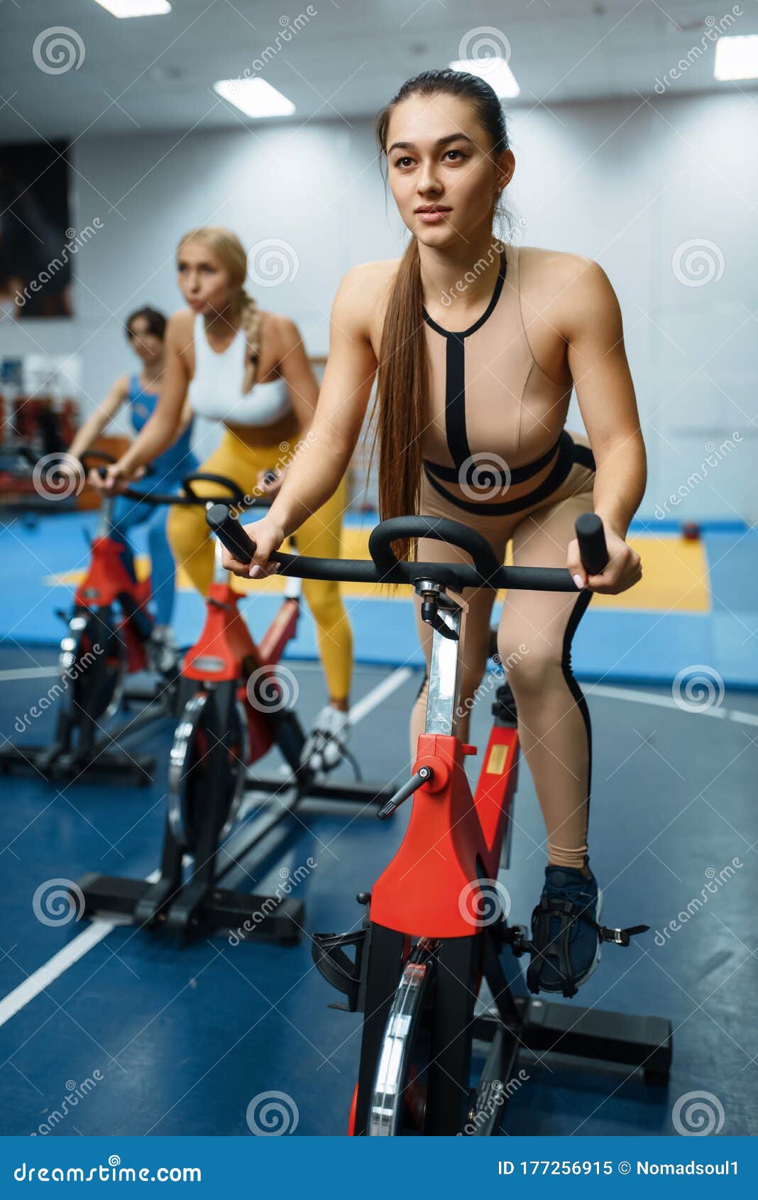 Download Women On Stationary Bikes In Gym, Front View Stock Image ...