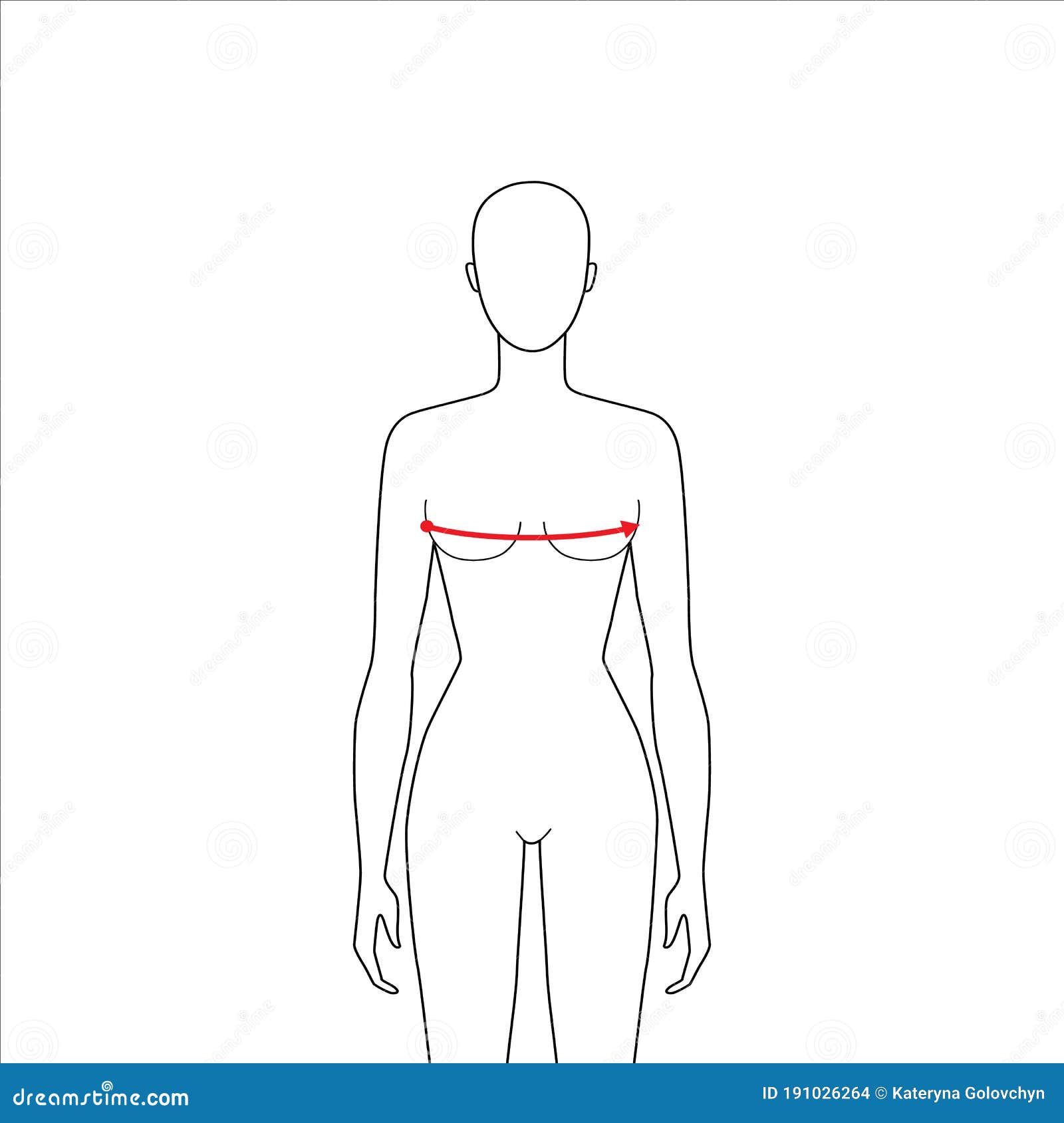 Women's clothing size chart. Body measurements. Bust, waist, hips. Front  view. 24474313 Vector Art at Vecteezy