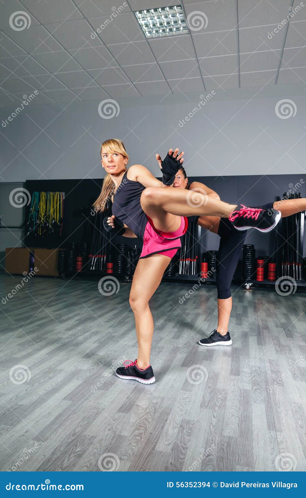 Women Training Kick Boxing in the Gym Stock Photo Image of muscle