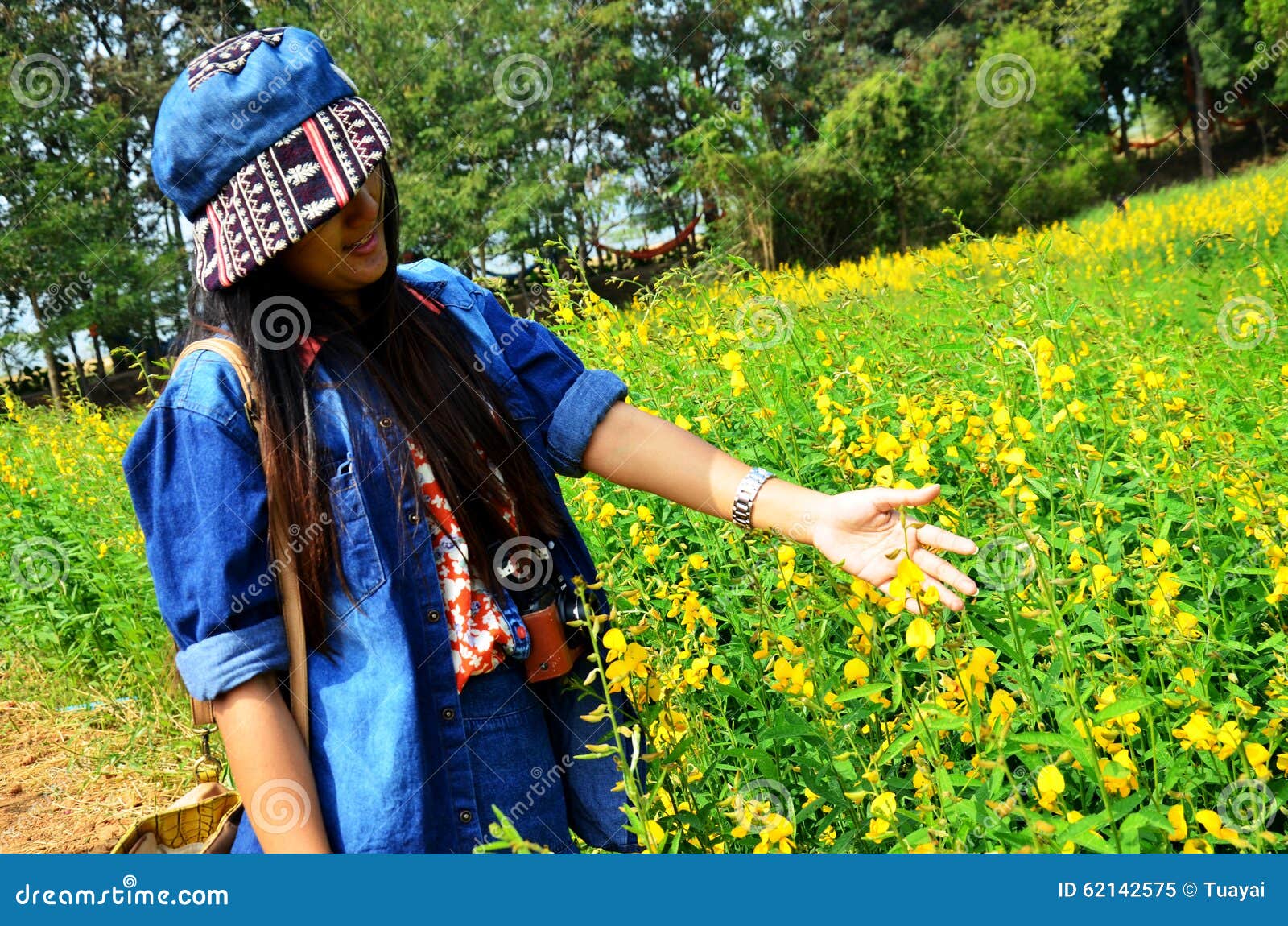 https://thumbs.dreamstime.com/z/women-travel-take-photo-crotalaria-juncea-field-jim-thomp-thai-portrait-thompson-farm-countryside-nakhon-62143304.jpg