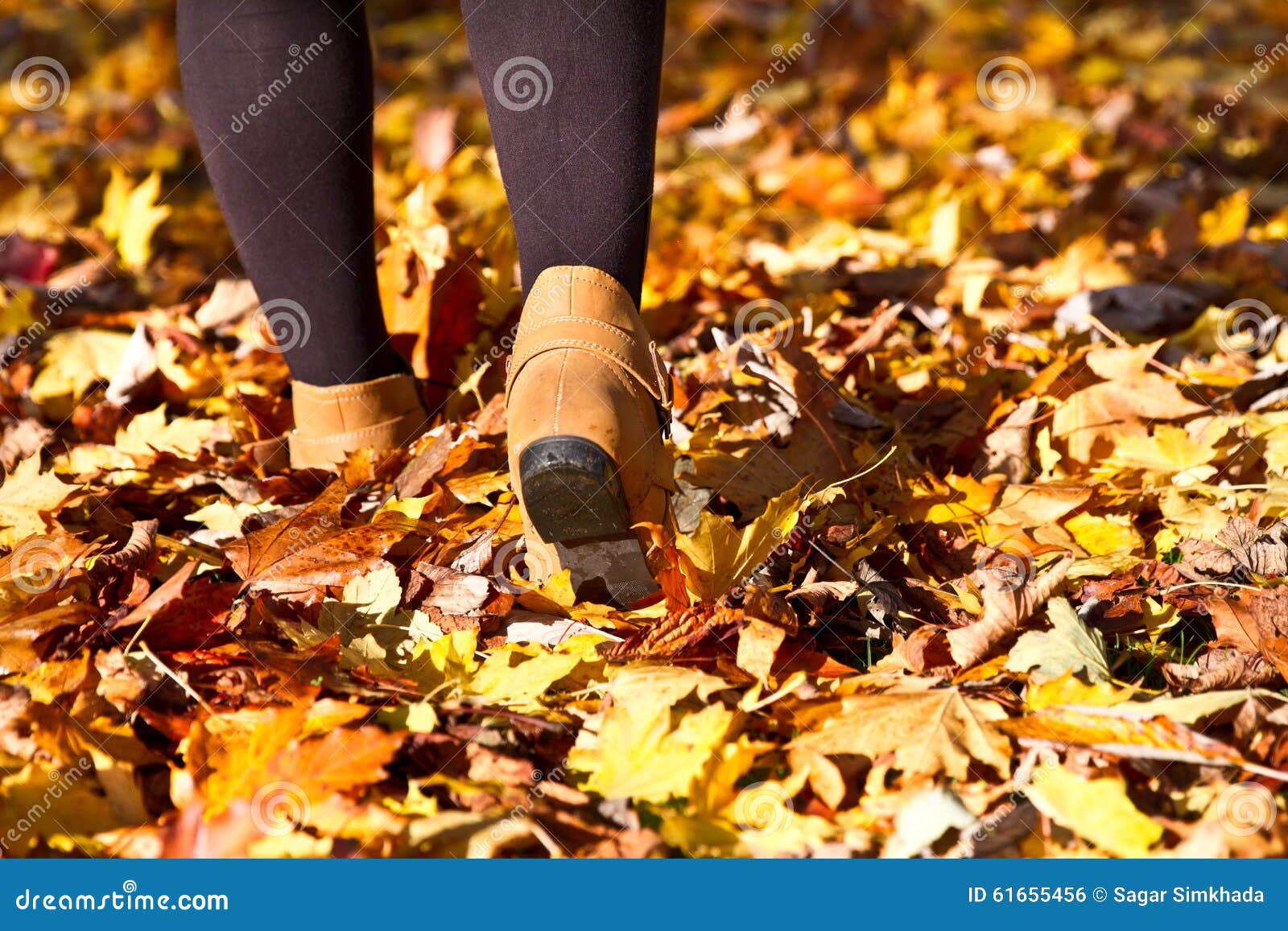 Women Walking on Full of Autumn Leaves Stock Photo Image of leaves