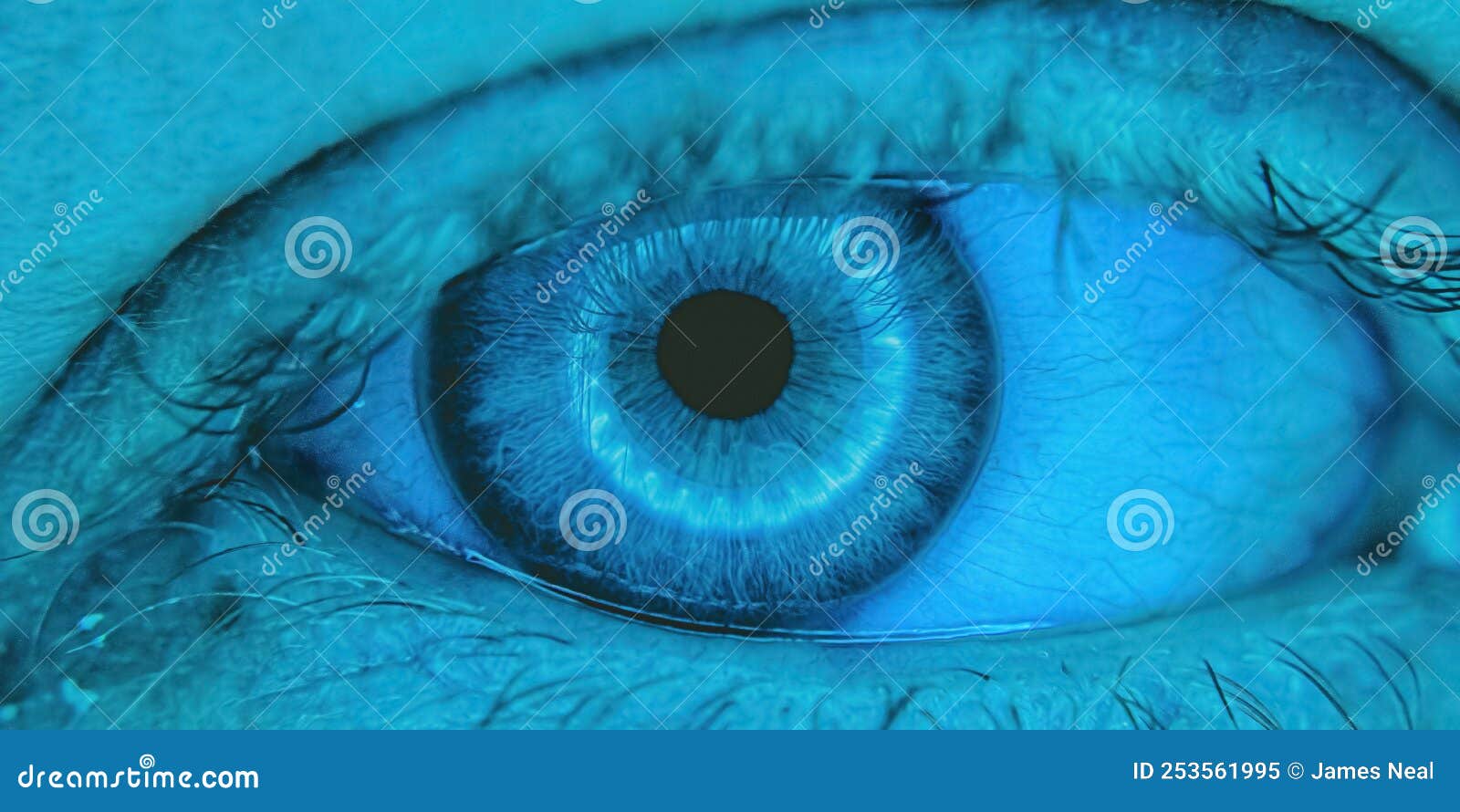 Female Eye with Light Ring and Blue Stock Image Image of looking