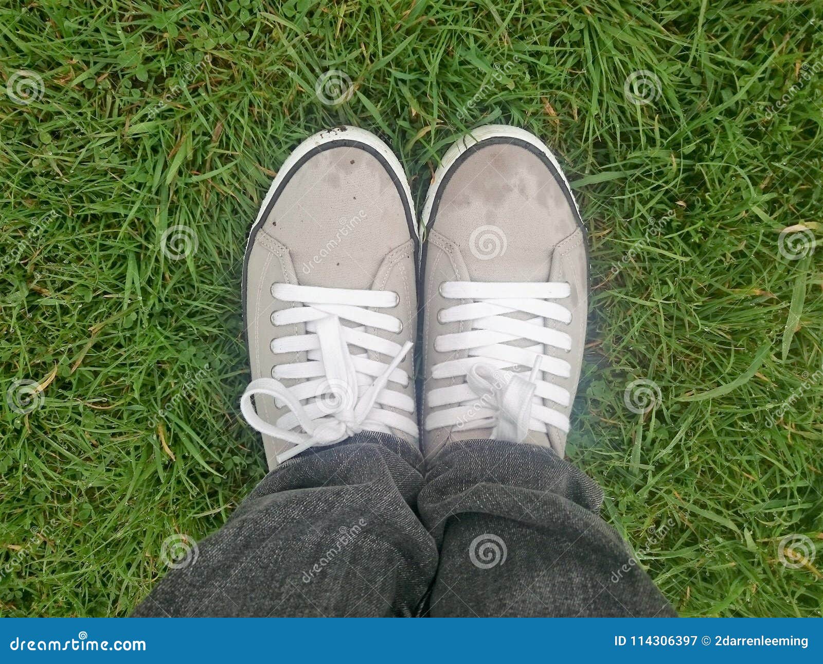 Womens Fit in Sneakers on a Wet Grass Stock Image - Image of footwear ...