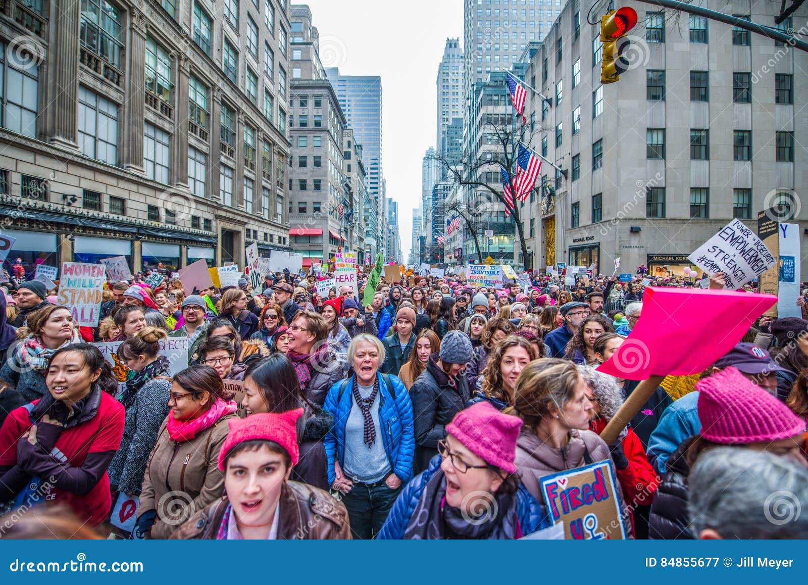 Womens March 2017 NYC editorial photography. Image of protests 84855677