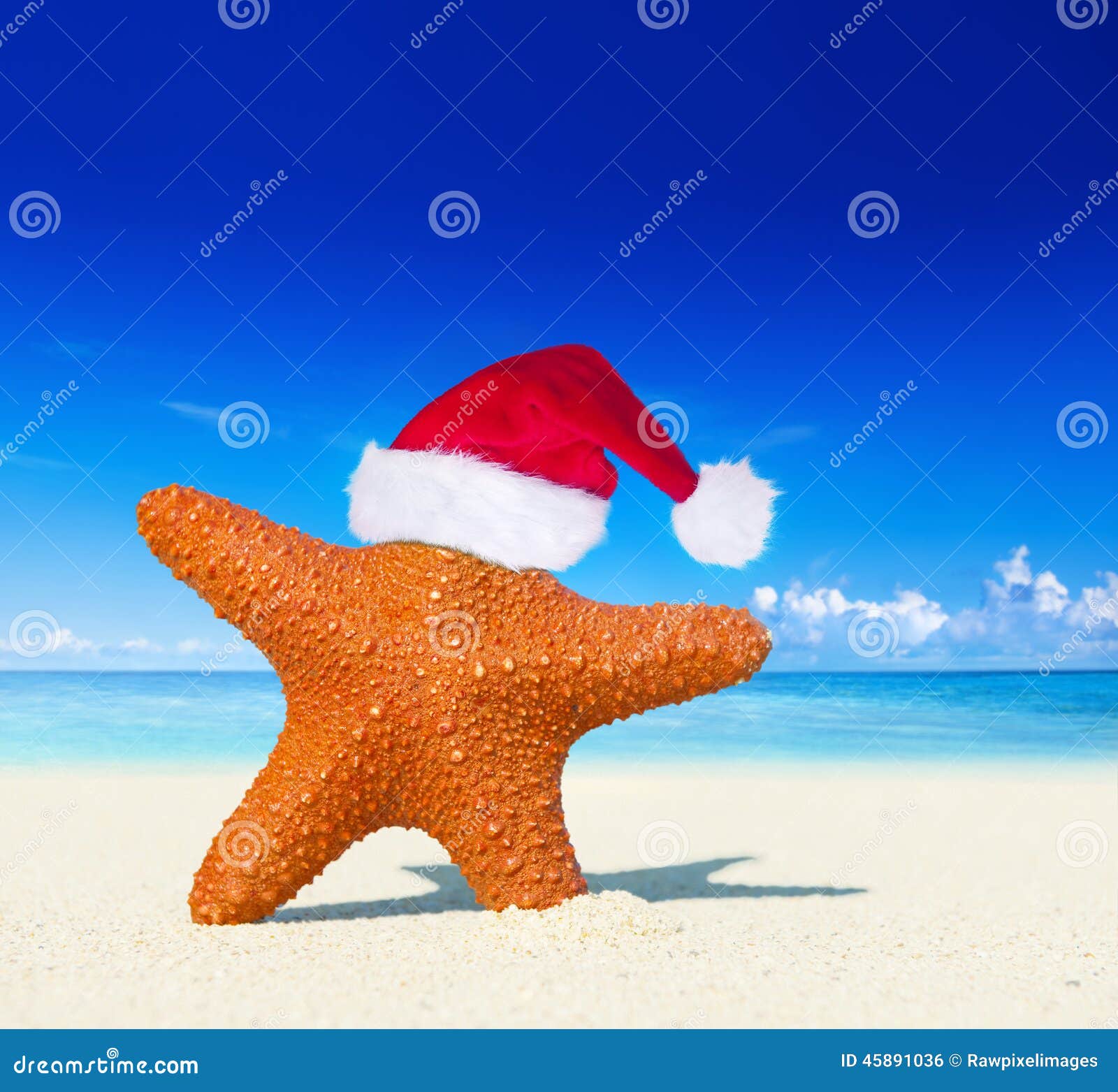 wonderful christmas on the beach