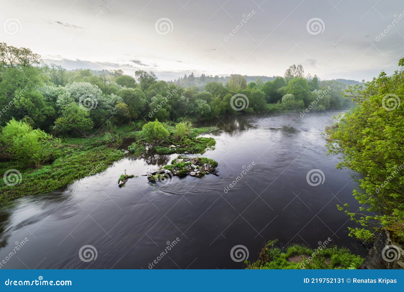 a wonderful, magical spring morning by the dubysa river in lithuania. eve`s trees are in bloom