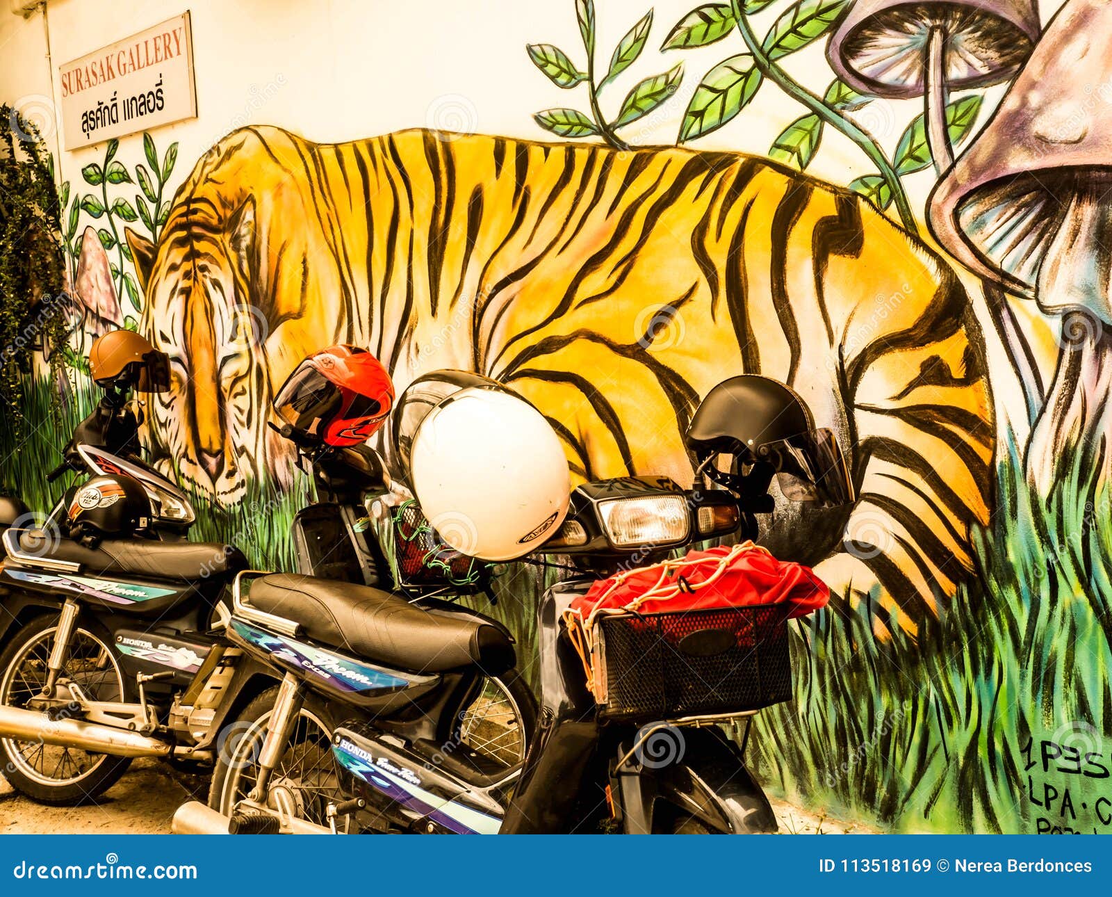 RIDING TIGER on the WALL editorial stock image. Image of mural 113518169
