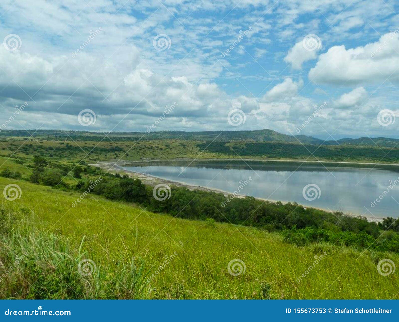 Wonderful Pond in Africa at Summer Stock Image Image of duck, nature