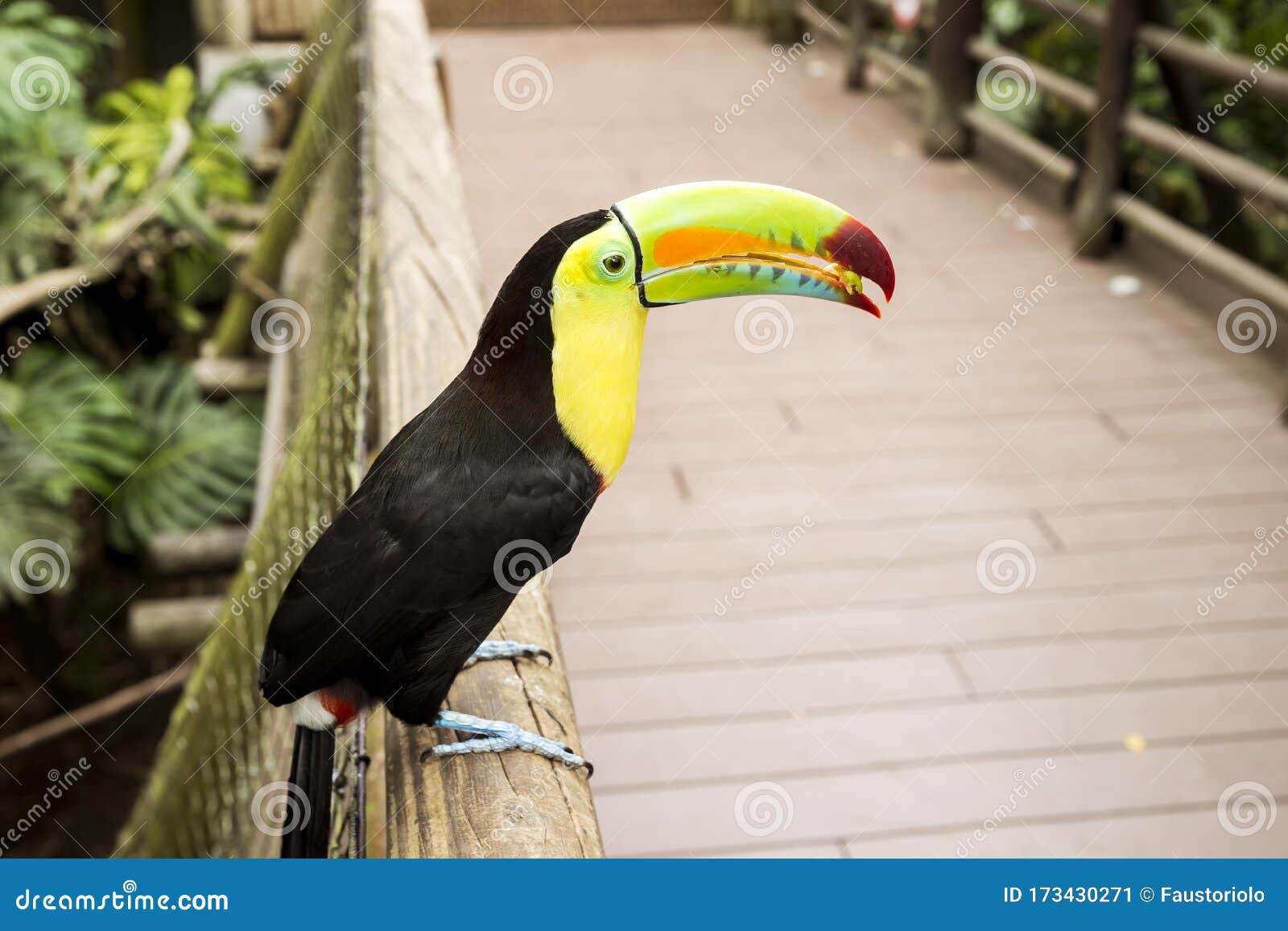 wonderful wildlife landscapes at ukumari biopark in pereira, colombia.