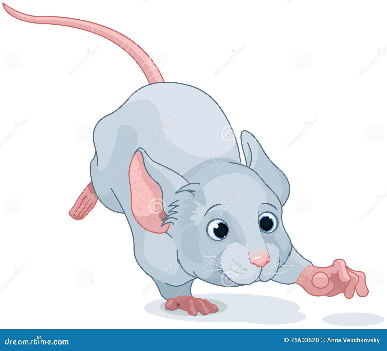 Mouse Running Stock Illustrations – 1,063 Mouse Running Stock  Illustrations, Vectors & Clipart - Dreamstime