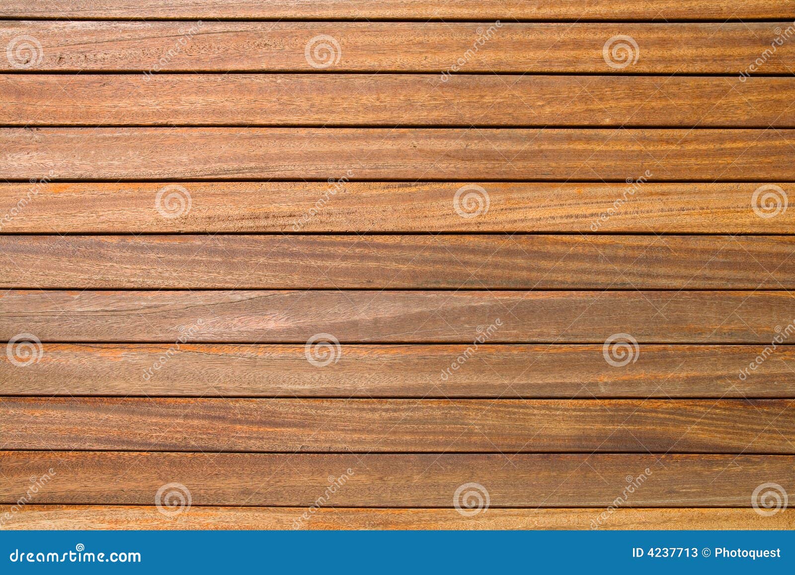 wood background texture