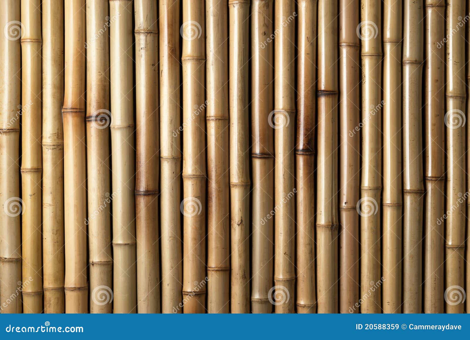 wood bamboo background