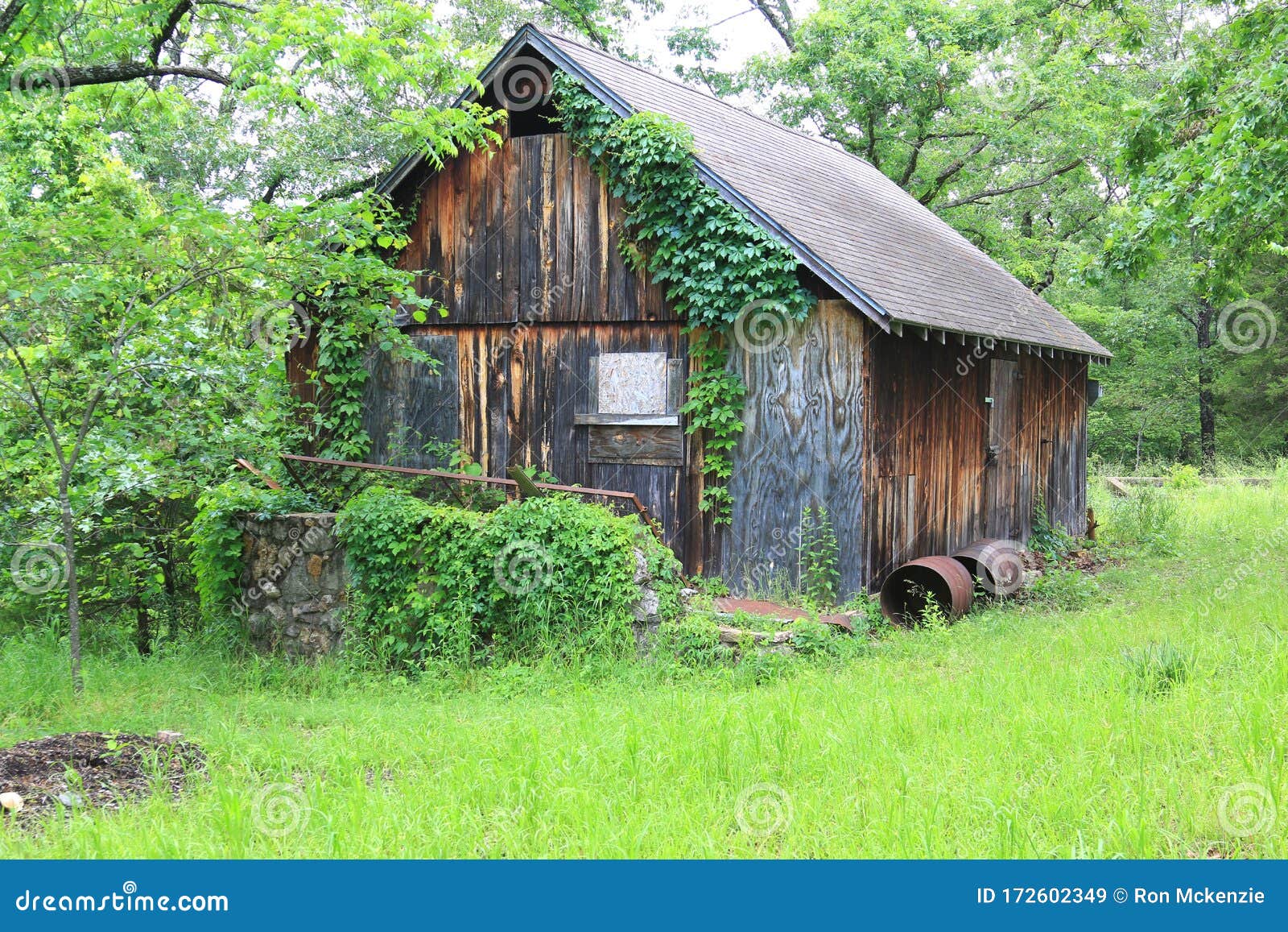 Wood Barn stock image. Image of dairy, lofts, farm, cattle 172602349