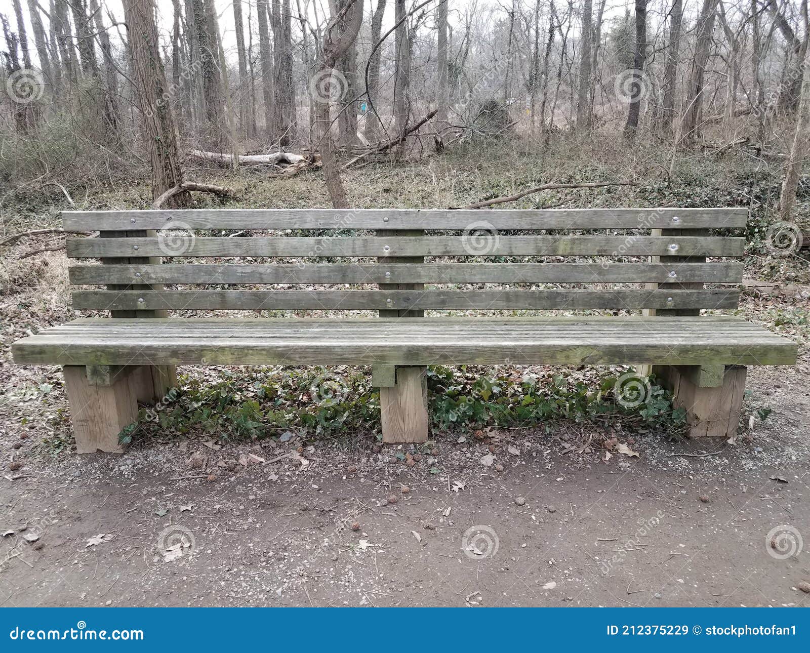 Wood Bench or Seat with Trees in the Woods Stock Image Image of trees, woods 212375229