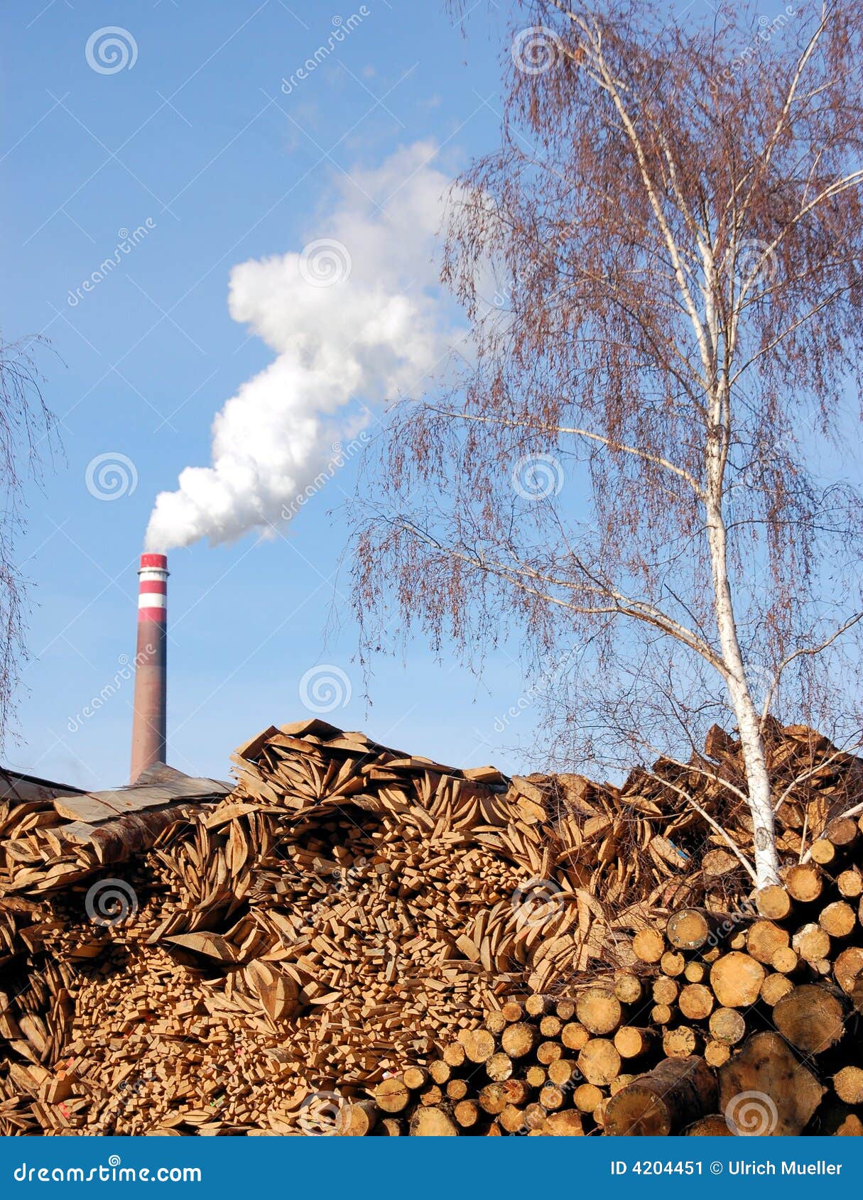 Wood and biomass plant stock image. Image of production 4204451