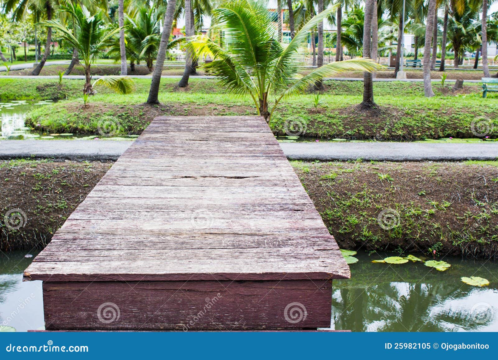 Wood bridge in garden stock image. Image of boardwalk 25982105