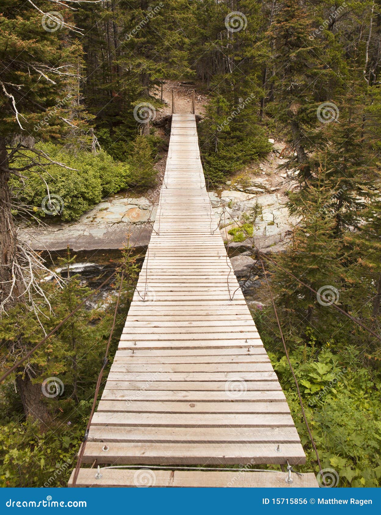 Wood Bridge in Glacier National Park Stock Photo Image of trail