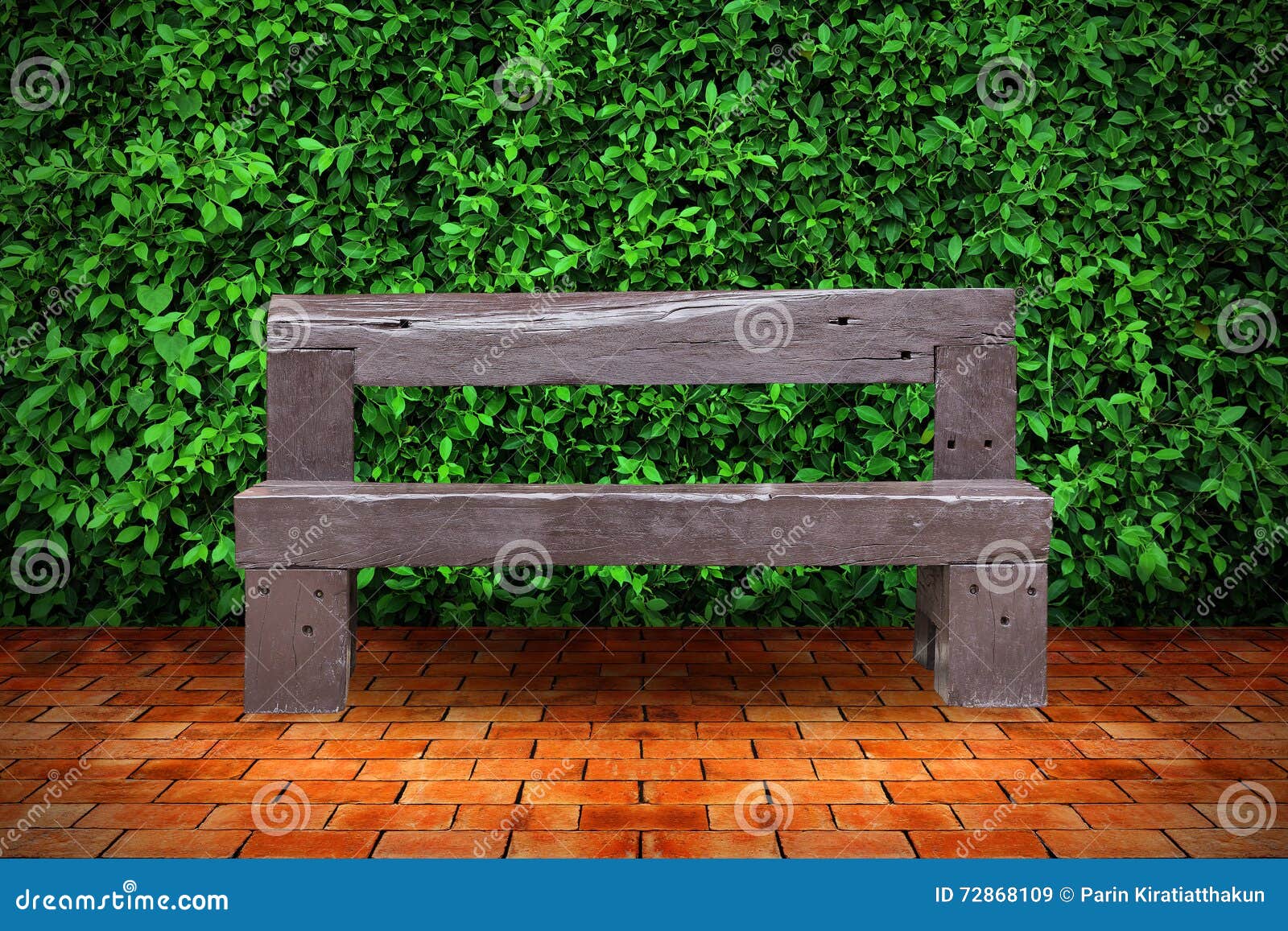 Wood Chair with the Bush Background. Stock Image - Image of shrub, seat:  72868109