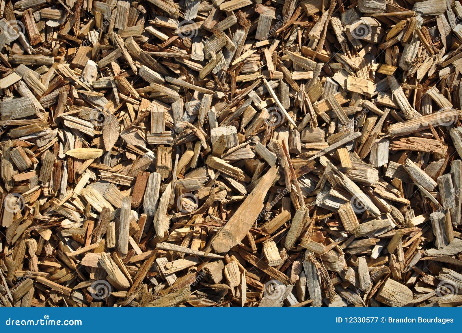Wood Chip Production, Virgin Fiber Piles Stock Photo CartoonDealer