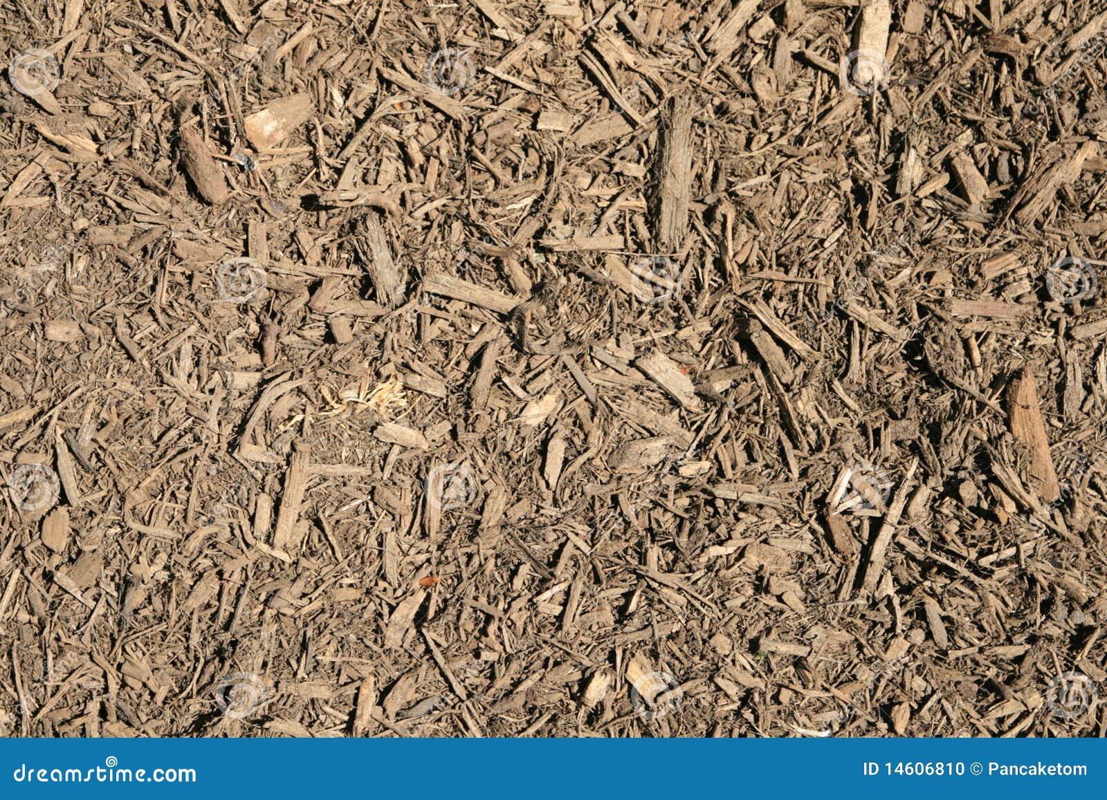 Wood Chip Production, Virgin Fiber Piles Stock Photo CartoonDealer