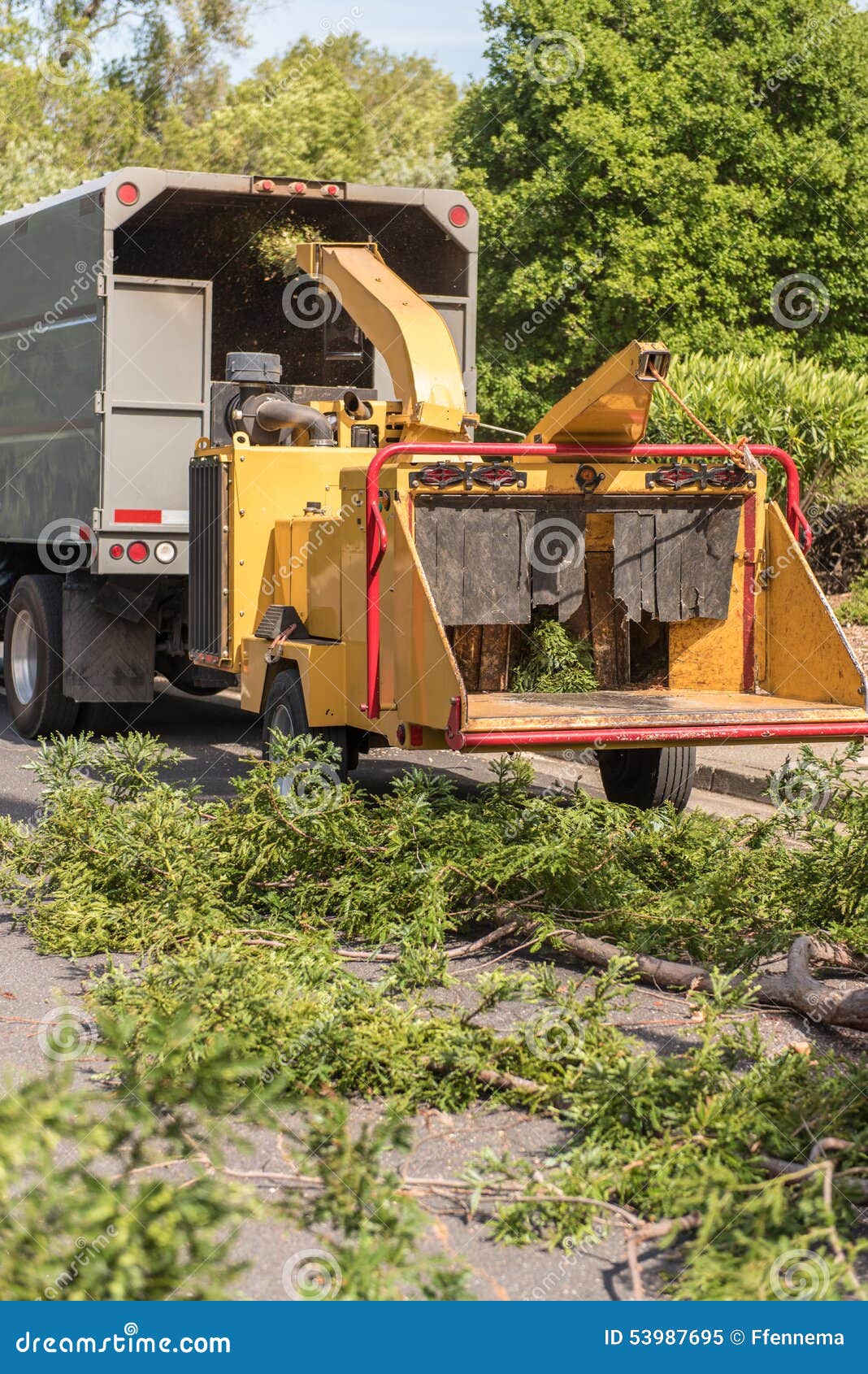 Wood Chipper Machine Works on Redwood Branches Stock Image Image of
