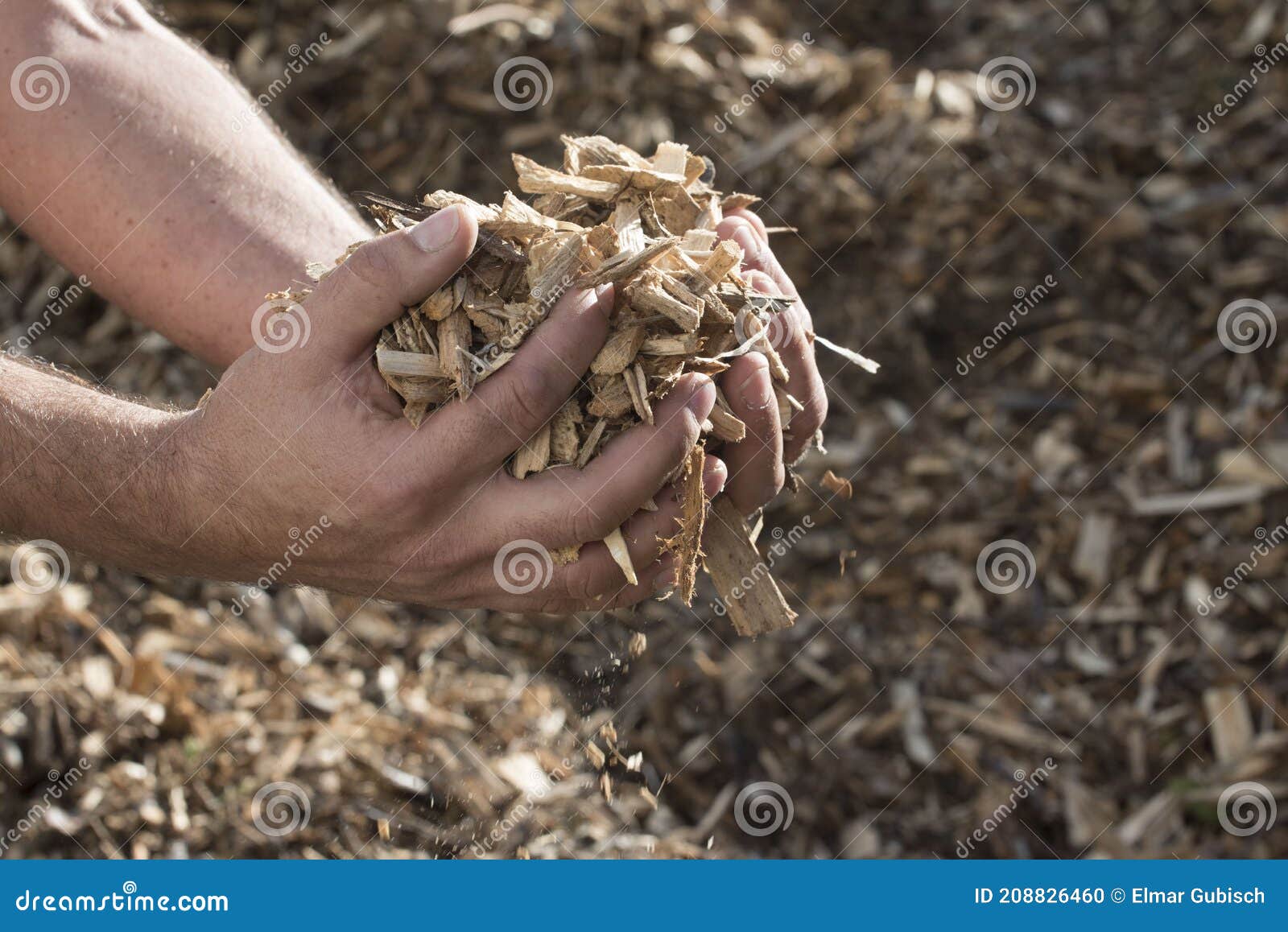 Wood chips as heating fuel stock photo. Image of system 208826460