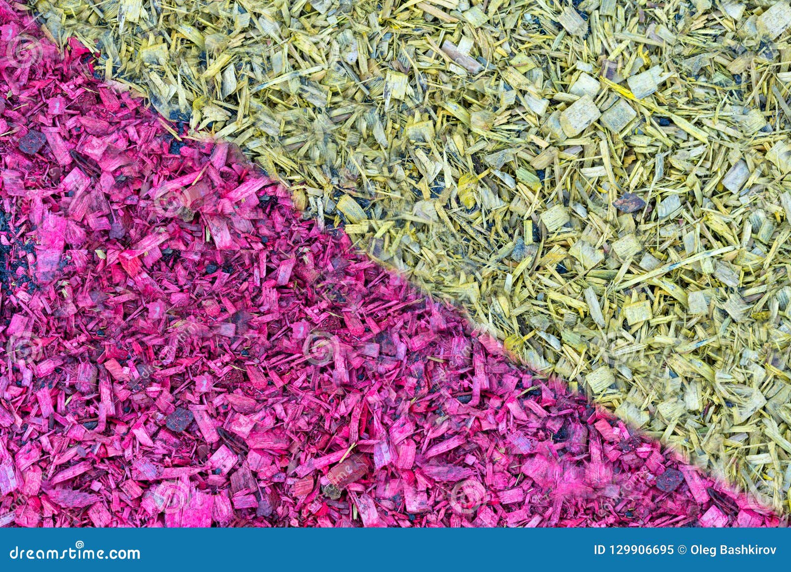 Wood Chips Painted in Different Colors As a Background or Texture
