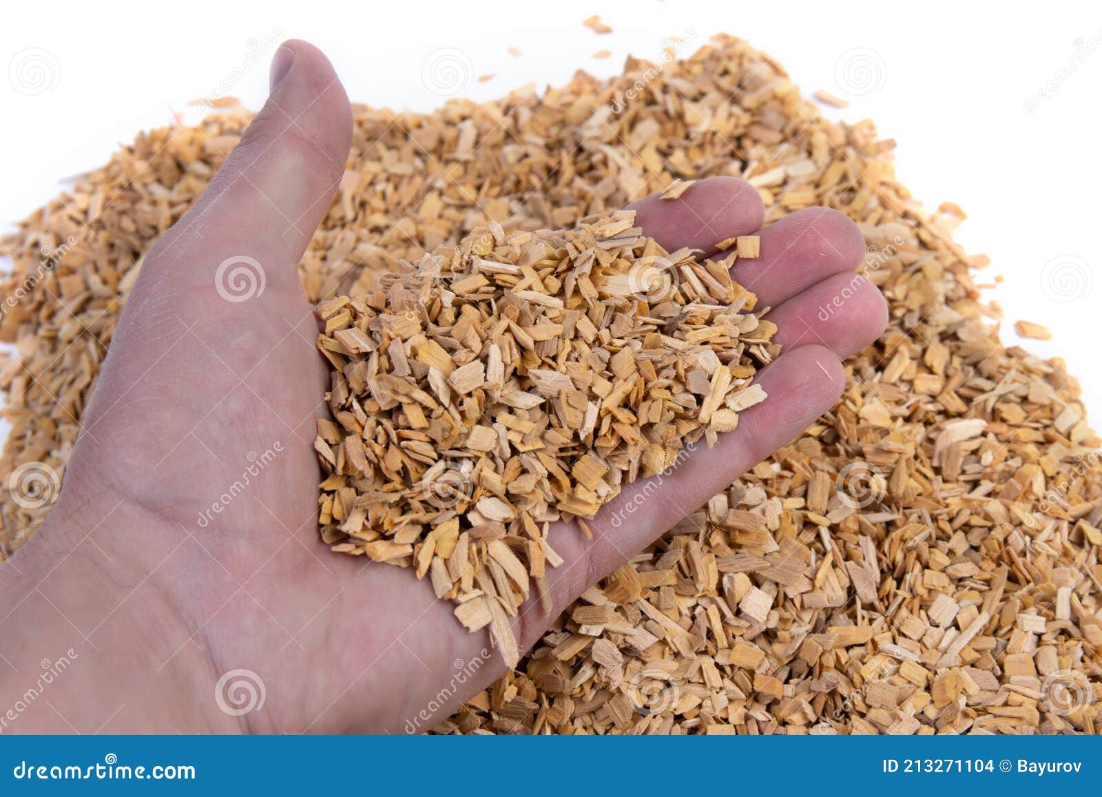 Wood Chips for Smoking Meat and Fish in Man Hand Stock Photo Image of
