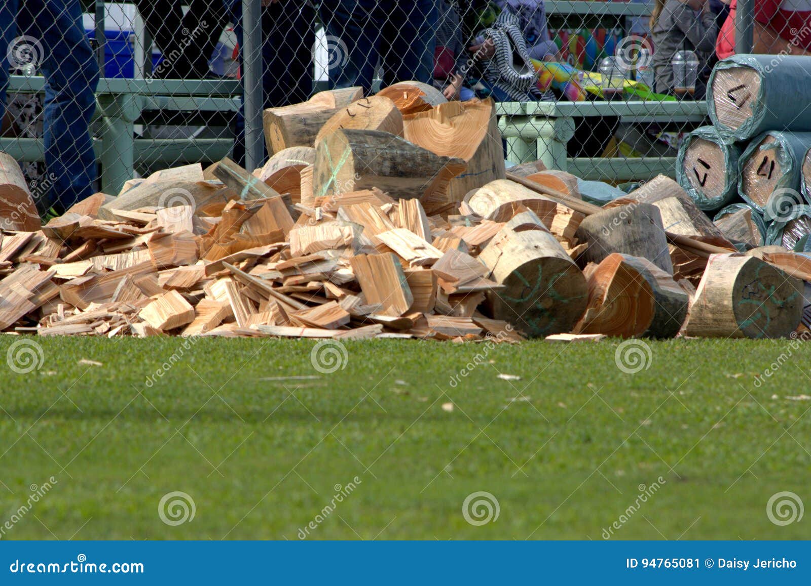 Wood Chips stock image. Image of beach, adjusting, early 94765081