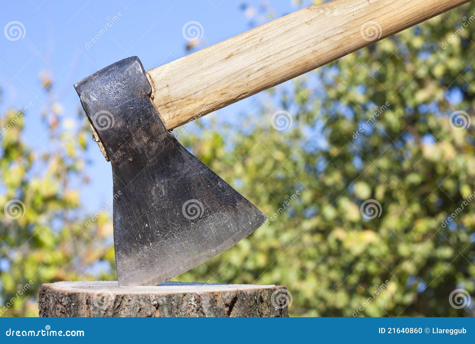 Wood chopper stock photo. Image of sharp, blue, chopper 21640860