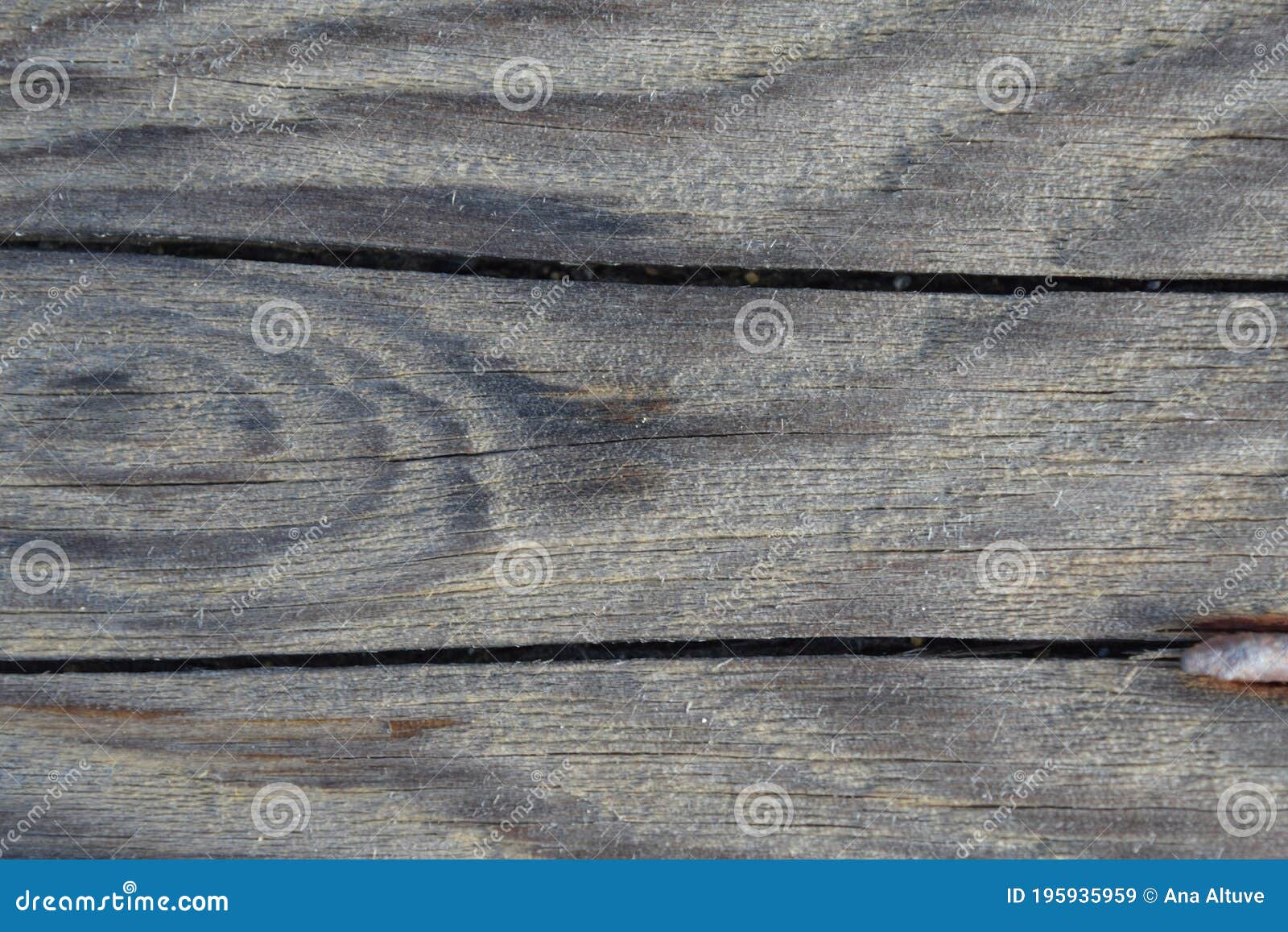 wood close up texture old wood